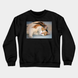 Purrfect Day Crewneck Sweatshirt